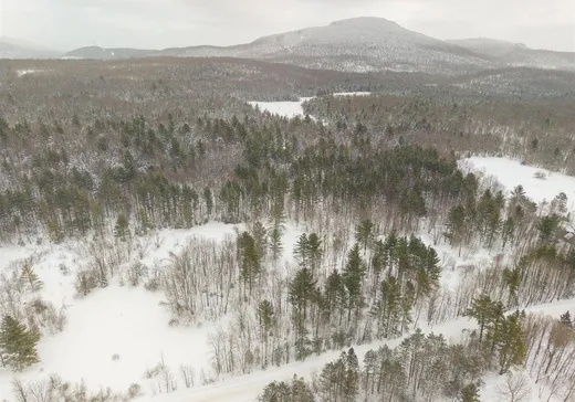 Land for Sale - 323 Ch. Bellevue, Bolton-Est, J0E 1G0