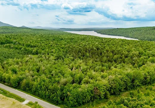 Terrain à vendre - 1 Ch. de la Colline, Saint-Augustin-de-Desmaures, J0B 1B0