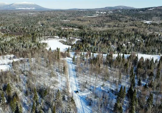 Land for Sale - 21 Ch. des Petits-Sabots, Notre-Dame-Des-Boies, J0B 2E0