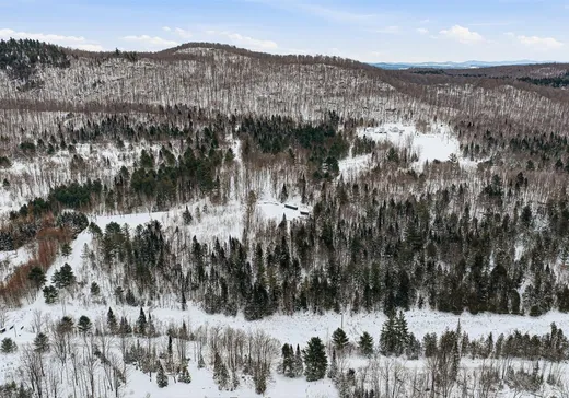 Terrain à vendre - 45 Ch. East River, Bolton-Est, J0E 1G0