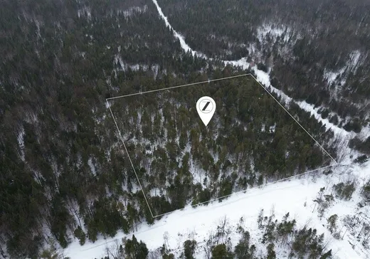 Land for sale - X Rg des Quarante, Stratford, G0Y1P0