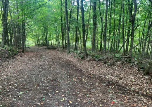 Land for Sale -  Ch. Richard-Tapp, Lachute, J8H 0J9