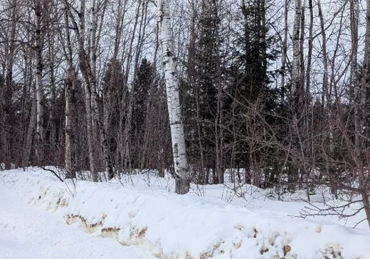 Terrain à vendre -  Mtée des Whissell, Mont-Laurier, J9L3G5