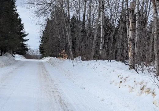 Terrain à vendre -  Mtée des Whissell, Mont-Laurier, J9L 3G5