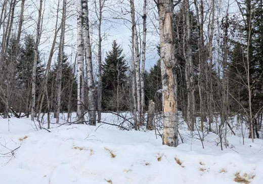 Terrain à vendre -  Mtée des Whissell, Mont-Laurier, J9L 3G5