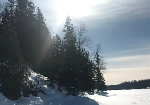 Terrain à vendre - 807 Ch. Lirette, Gallichan, J0Z 2B0