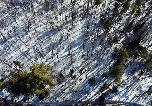 Land for Sale - 43 Ch. Winnisic, Chelsea, J9B 2L5