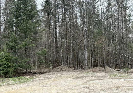 Land for Sale -  Rue Bégin, Rivière-Rouge, J0T 1T0