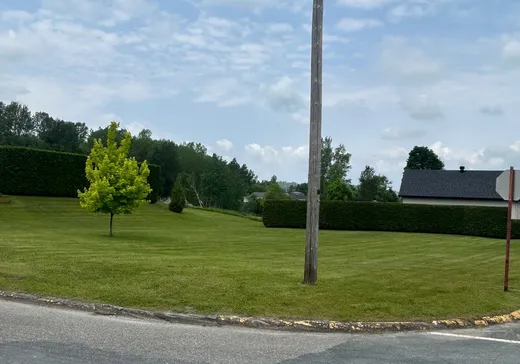 Terrain à vendre -  Boul. Morin, Danville, J1T 4V2