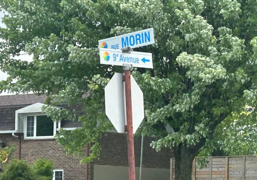 Terrain à vendre -  Boul. Morin, Danville, J1T 4V2