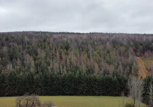 Land for Sale - 1400 2e Rang S., Weedon, J0B 3J0