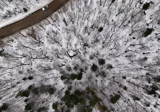 Terrain à vendre -  Ch. des Marronniers, St-Adolphe d'Howard, J0T 2B0