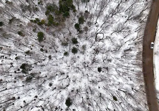 Terrain à vendre -  Ch. des Marronniers, St-Adolphe d'Howard, J0T 2B0
