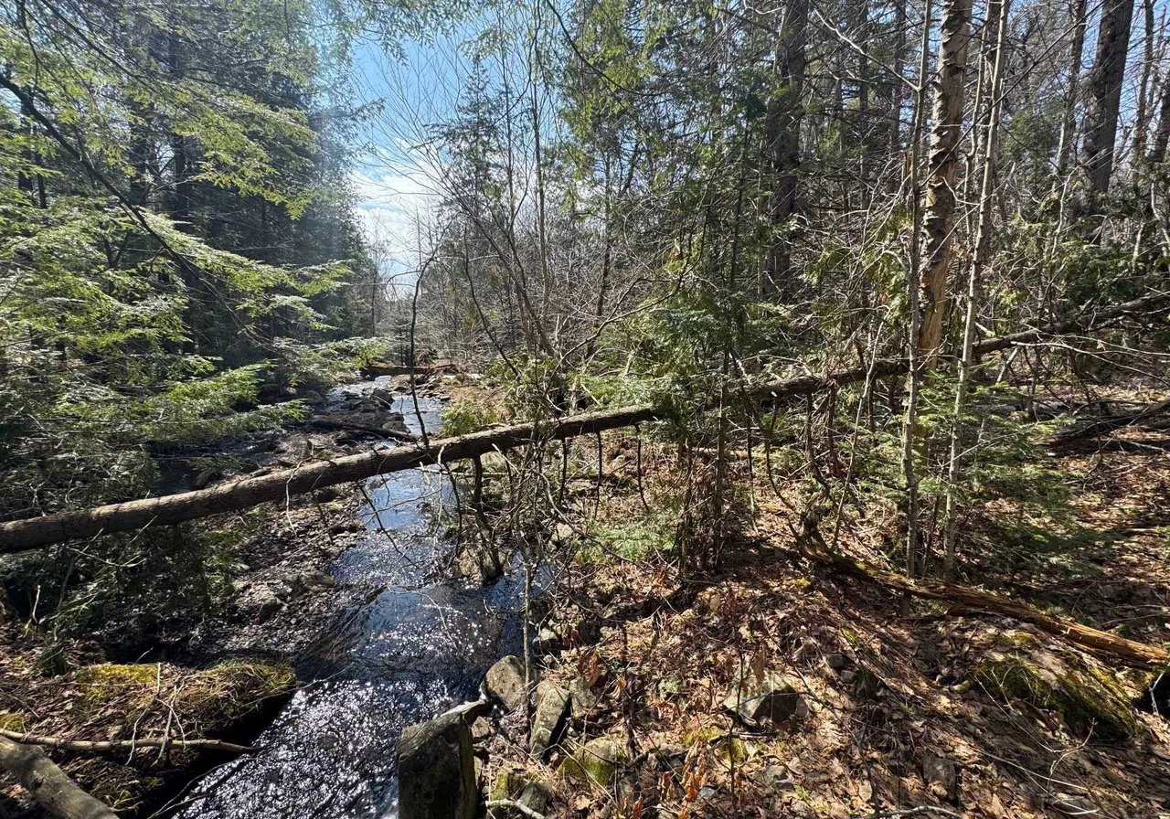 Ch. de la Montagne — photo 1