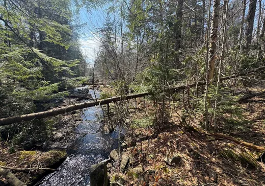 Land for sale -  Ch. de la Montagne, Brownsburg-Chatham, J8G2B2