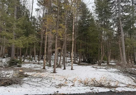 Land for sale - 4683 Rue Jean-Saulnier, App. 4, Montreal (North), J1X7H5