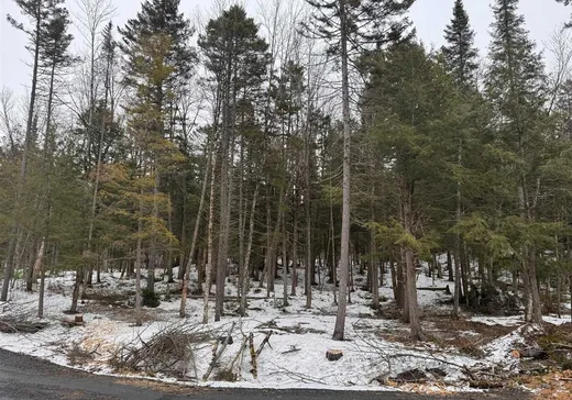 Land for Sale - 4683 Rue Jean-Saulnier, App. 4, Montreal (North), J1X 7H5