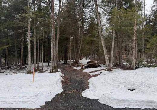 Land for Sale - 4683 Rue Jean-Saulnier, App. 4, Montreal (North), J1X 7H5