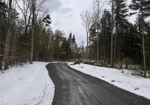 Land for Sale - 4683 Rue Jean-Saulnier, App. 4, Montreal (North), J1X 7H5