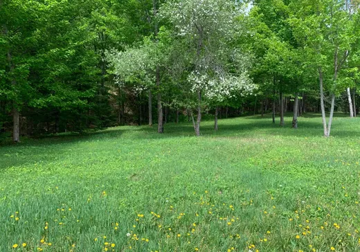 Land for sale - Ch. de la Ro Ch. de la Rouge, Huberdeau, J0T1G0