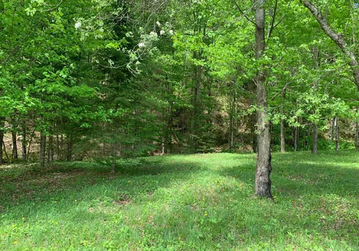 Land for Sale - Ch. de la Ro Ch. de la Rouge, Huberdeau, J0T 1G0