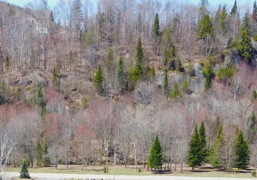 Land for Sale - Ch. de la Ro Ch. de la Rouge, Huberdeau, J0T 1G0