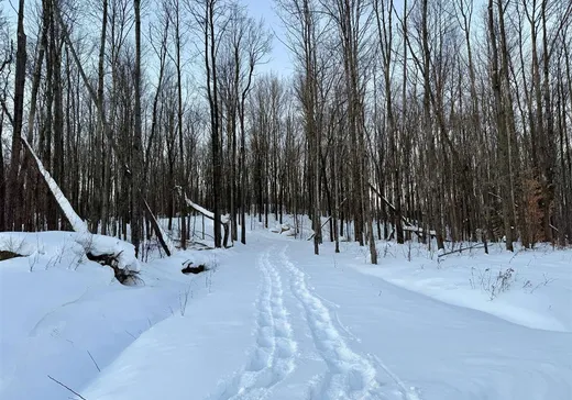 Land for sale - 41 Ch. de la Montagne-Cachée, Eastman, J0E1P0