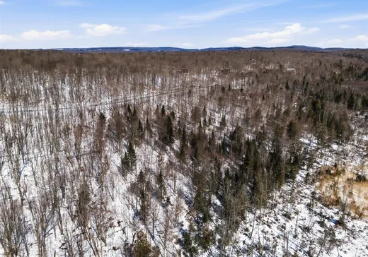 Land for Sale - 41 Ch. de la Montagne-Cachée, Eastman, J0E 1P0