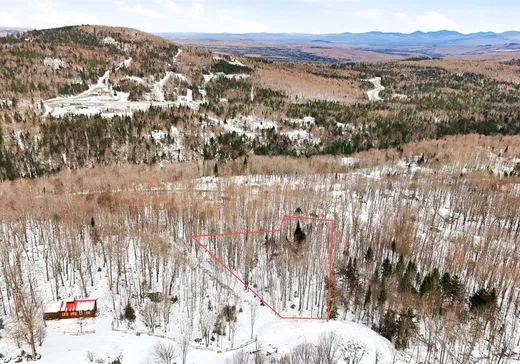 Land for Sale - 38 Ch. Maxime, Notre-Dame-Des-Boies, J0B 2E0