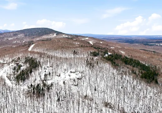 Land for Sale - 38 Ch. Maxime, Notre-Dame-Des-Boies, J0B 2E0