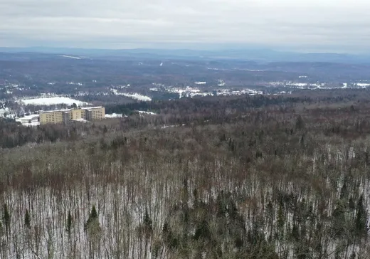 Terrain à vendre -  Ch. de la Tour, Rivière-Rouge, J0T1T0