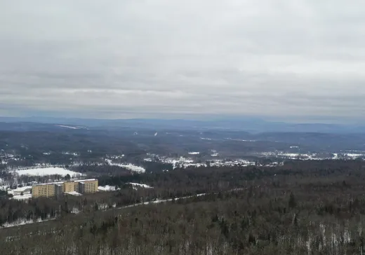 Terrain à vendre -  Ch. de la Tour, Rivière-Rouge, J0T 1T0