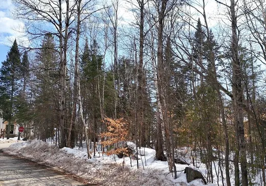 Terrain à vendre -  Rue des Luges, Sainte-Adèle, J8B 2Z9
