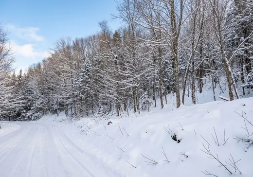 Terrain à vendre -  Ch. de la Vallée-Manitou, Sainte-Agathe-des-Monts, J8C 2Z7