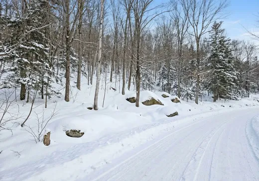 Terrain à vendre -  Ch. de la Vallée-Manitou, Sainte-Agathe-des-Monts, J8C 2Z7