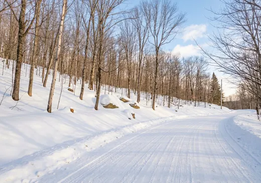 Terrain à vendre -  Ch. de la Vallée-Manitou, Sainte-Agathe-des-Monts, J8C 2Z7