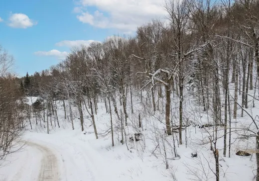 Terrain à vendre -  Ch. de la Vallée-Manitou, Sainte-Agathe-des-Monts, J8C 2Z7
