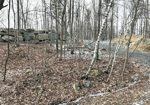 Terrain à vendre - 57 Rue St-Jean, Windsor, J1S 2E8