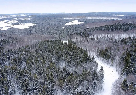 Land for sale - 535 Ch. du Fer-à-Cheval, East Broughton, G0N1G0