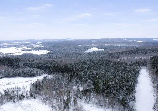 Land for Sale - 535 Ch. du Fer-à-Cheval, East Broughton, G0N 1G0