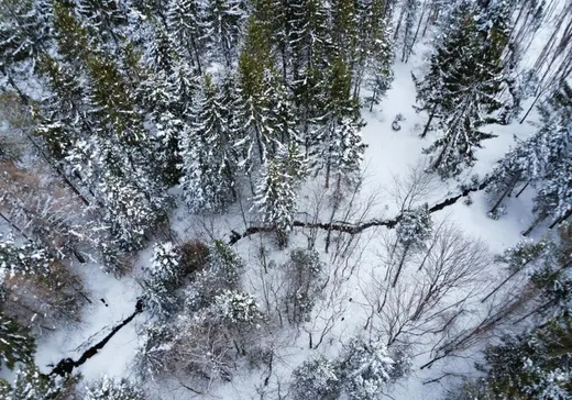 Land for Sale - 535 Ch. du Fer-à-Cheval, East Broughton, G0N 1G0