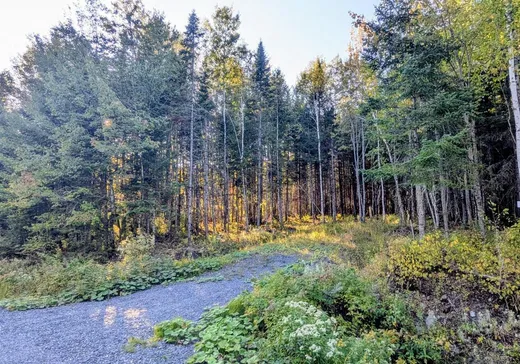 Land for Sale - 1025 Ch. des Hauts-Cantons, Stratford, G0Y 1P0