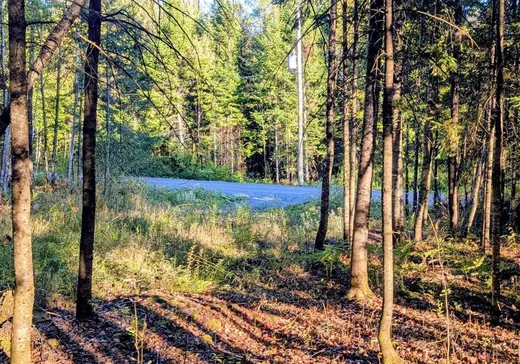 Land for Sale - 1025 Ch. des Hauts-Cantons, Stratford, G0Y 1P0