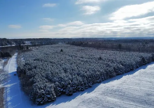 Terrain à vendre - 1305 Ch. de la Longue-Pointe, St-Nicephore, J2A 3C1