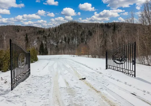 Terrain à vendre -  Ch. Tremblay, St-Remi-D'Amherst, J0T 2L0