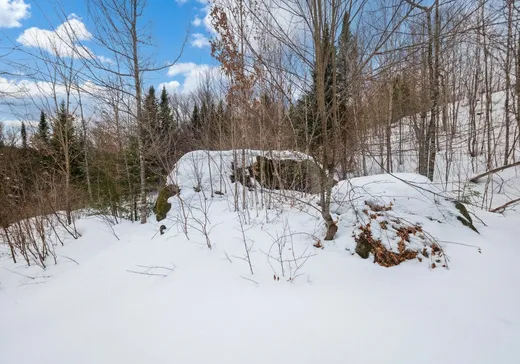 Terrain à vendre -  Ch. Tremblay, St-Remi-D'Amherst, J0T 2L0