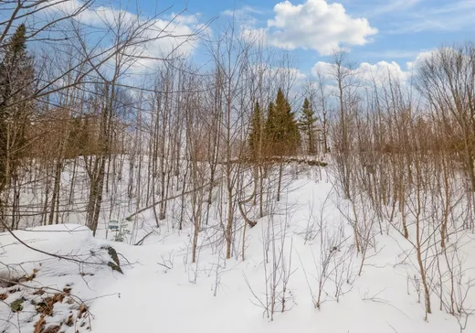 Terrain à vendre -  Ch. Tremblay, St-Remi-D'Amherst, J0T 2L0