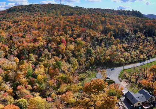 Terrain à vendre -  Rue Radieux, Sainte-Adèle, J8B 1A3