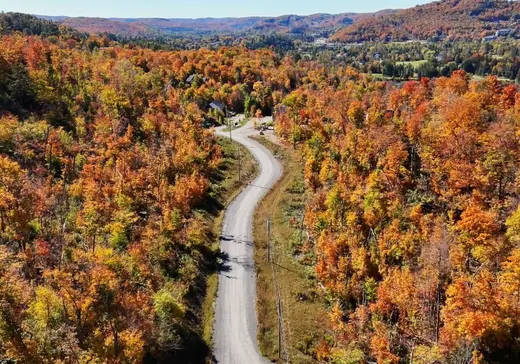 Terrain à vendre -  Rue Radieux, Sainte-Adèle, J8B 1A3