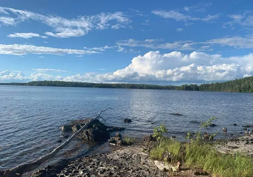 Terrain à vendre -  Ch. Jeness, Mont-Laurier, J0W1W0